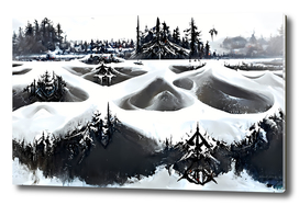 Symmetrical snow