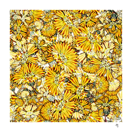 flowers, yellow, monochrome,  endless pattern