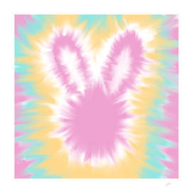 Tie Dye Colorful Rabbit