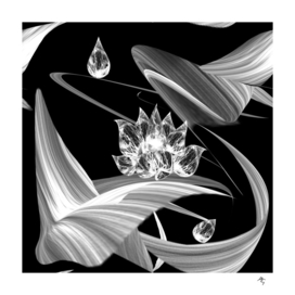 lotus, transparent, black and white,