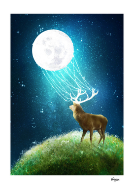 Deer Moonlight