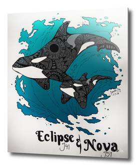 Eclipse and Nova