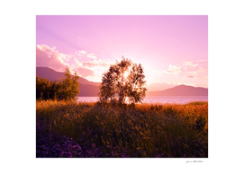 Sunset lonely tree field mountains lake by ioanna pap