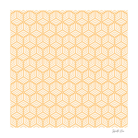 Dark Tangerine Cubic Hex | Beautiful Interior Design