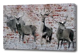 Stags On Red & White Brick Background