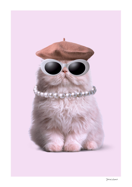 Fashion Cat