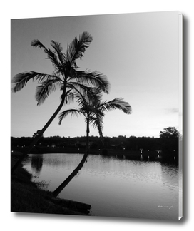 Sunset with coconut trees and a lake