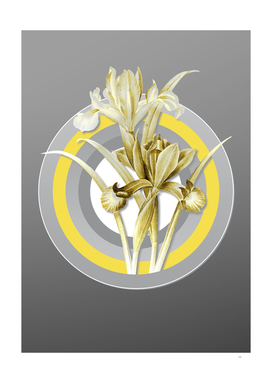 Botanical Illustration Spanish Iris in Gray and Yellow