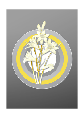 Botanical Illustration St. Bruno's Lily in Gray and Yellow
