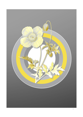 Botanical Illustration Welsh Poppy in Gray and Yellow