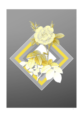 Botanical Illustration White Rose in Gray and Yellow