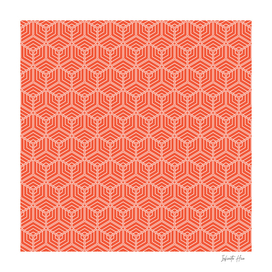 Outrageous Orange Colorful Cubic Hex | Interior Design