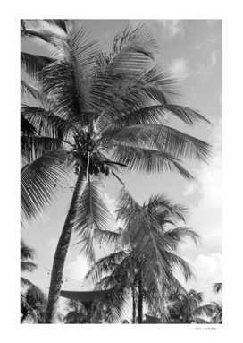 Caribbean Palm Trees Dream #1 #tropical #wall #art