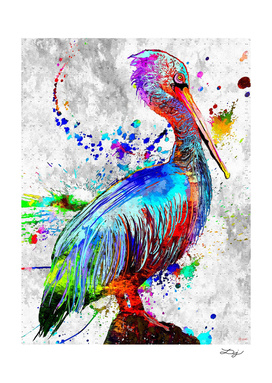 Pelican Water Bird Grunge