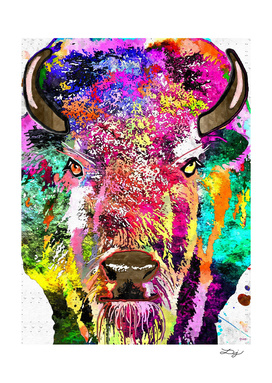 Buffalo  The American Bison Grunge