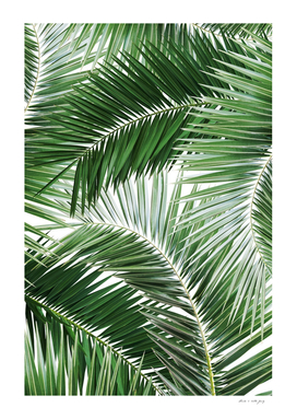 Palm Jungle Pattern #1 #tropical #wall #art