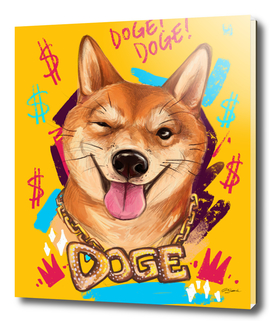 doge dodgy dodge