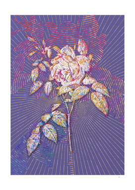 Blooming Fragrant Rosebush Mosaic Botanical Veri Peri