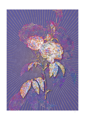 Blooming Purple Roses Mosaic Botanical Veri Peri
