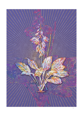 Daylily Mosaic Botanical Art on Veri Peri