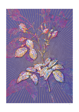 Evrat's Rose with Crimson Buds Mosaic Botanical
