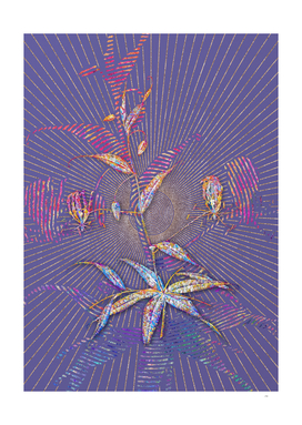 Flame Lily Mosaic Botanical Art on Veri Peri