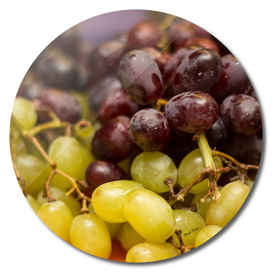 Red and Purple Grapes