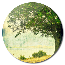Beautiful country landscape vintage wild peer tree portrait