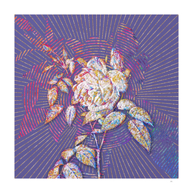 Blooming Fragrant Rosebush Mosaic on Veri Peri