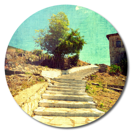 Picturesque cobblestone stairs leading to a tree