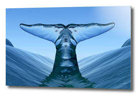ice whale tail out of the waves water