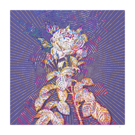 Lelieur's Four Seasons Rose Mosaic on Veri Peri