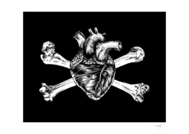 Pirated heart