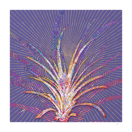 Pineapple Mosaic Botanical Art on Veri Peri