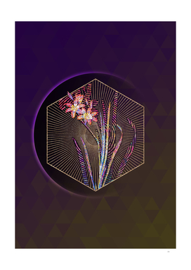 Abstract Ixia Tricolor Mosaic Botanical Illustration