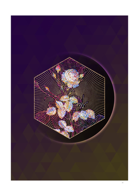 Abstract Provence Rose Mosaic Botanical Illustration