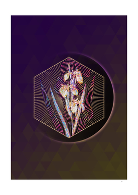 Geometric Mosaic Irises Botanical Illustration