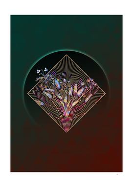 Geometric Mosaic Starfruit Botanical Illustration