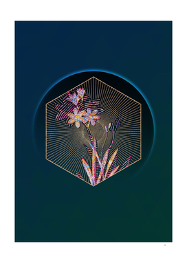 Ixia Grandiflora Mosaic Botanical Illustration