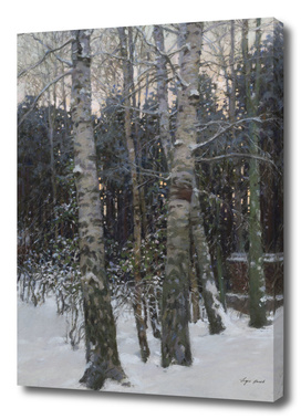 Winter Dusk.Birches.
