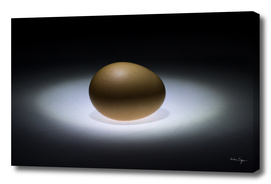 Saturn Egg