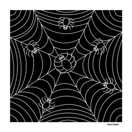 Abstract Black and White Spider Web Design