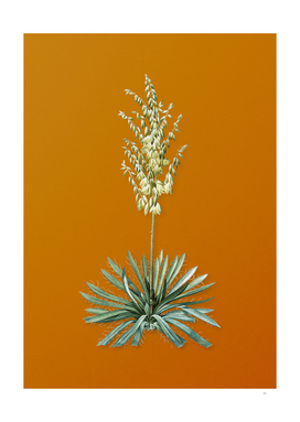 Vintage Adam's Needle Botanical on Sunset Orange