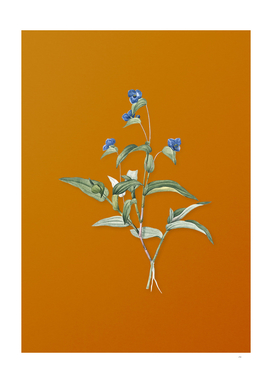 Vintage Blue Spiderwort Botanical on Sunset Orange