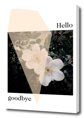 Hello - goodbye  - flower - photography collage-