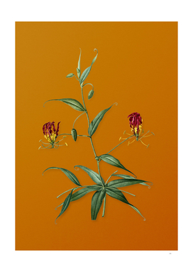 Vintage Flame Lily Botanical on Sunset Orange