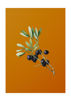 Vintage Olive Tree Branch Botanical on Sunset Orange