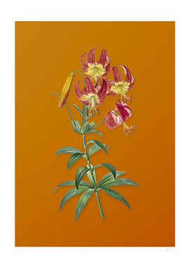 Vintage Turban Lily Botanical on Sunset Orange