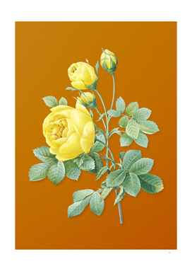 Vintage Yellow Rose Botanical on Sunset Orange