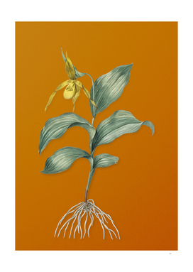 Yellow Lady's Slipper Orchid Botanical on Orange